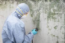 Best Real Estate Mold Inspection  in Grandyle Village, NY